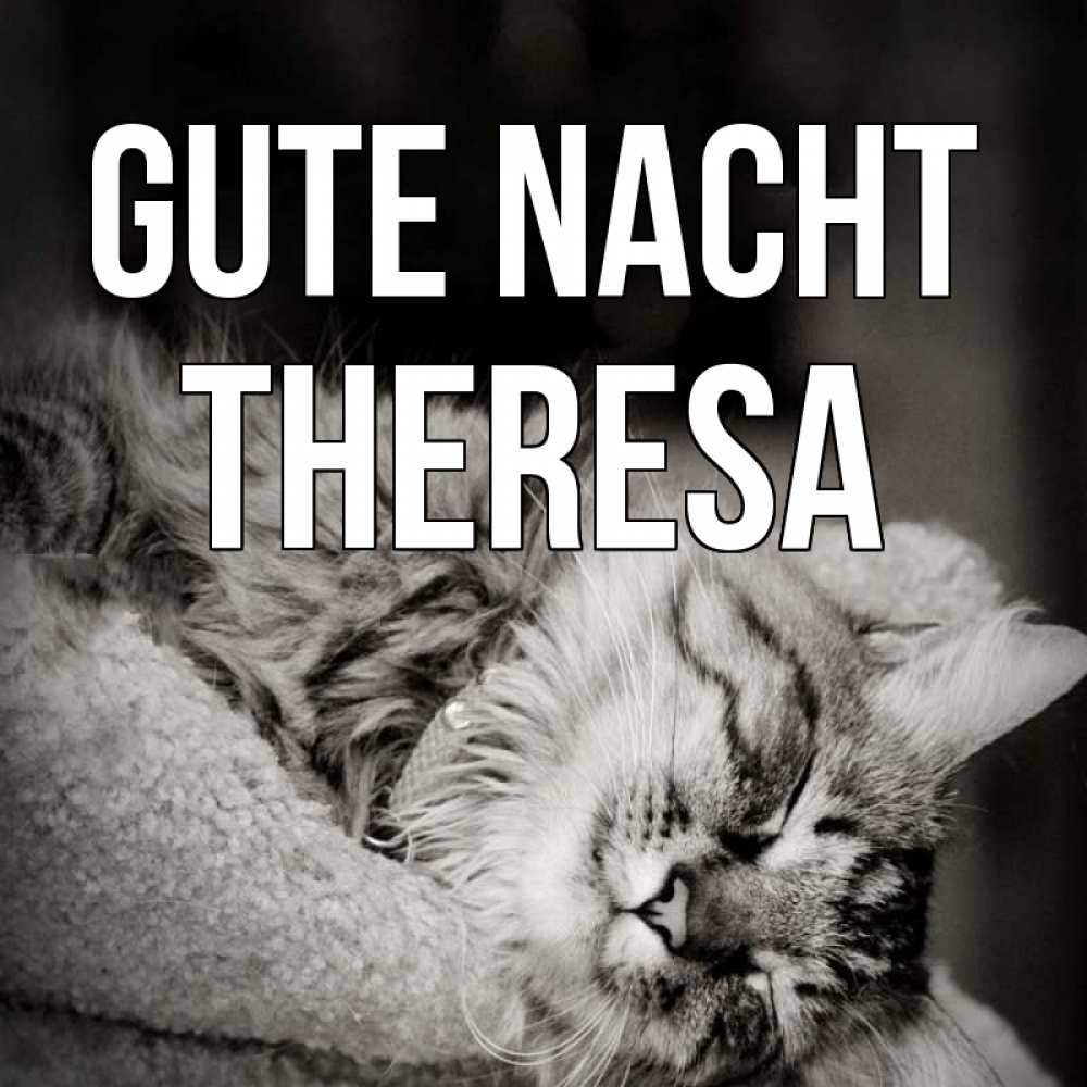 Открытка на каждый день с именем, Theresa Gute Nacht котярик пушистый Прикольная открытка с пожеланием онлайн скачать бесплатно 