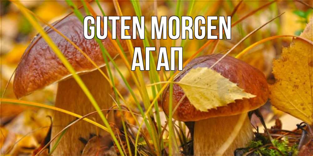 Открытка на каждый день с именем, Агап Guten Morgen осенние грибы Прикольная открытка с пожеланием онлайн скачать бесплатно 