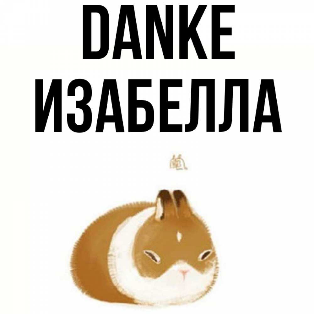 Открытка на каждый день с именем, Изабелла Danke коричнево белый домашний питомец Прикольная открытка с пожеланием онлайн скачать бесплатно 