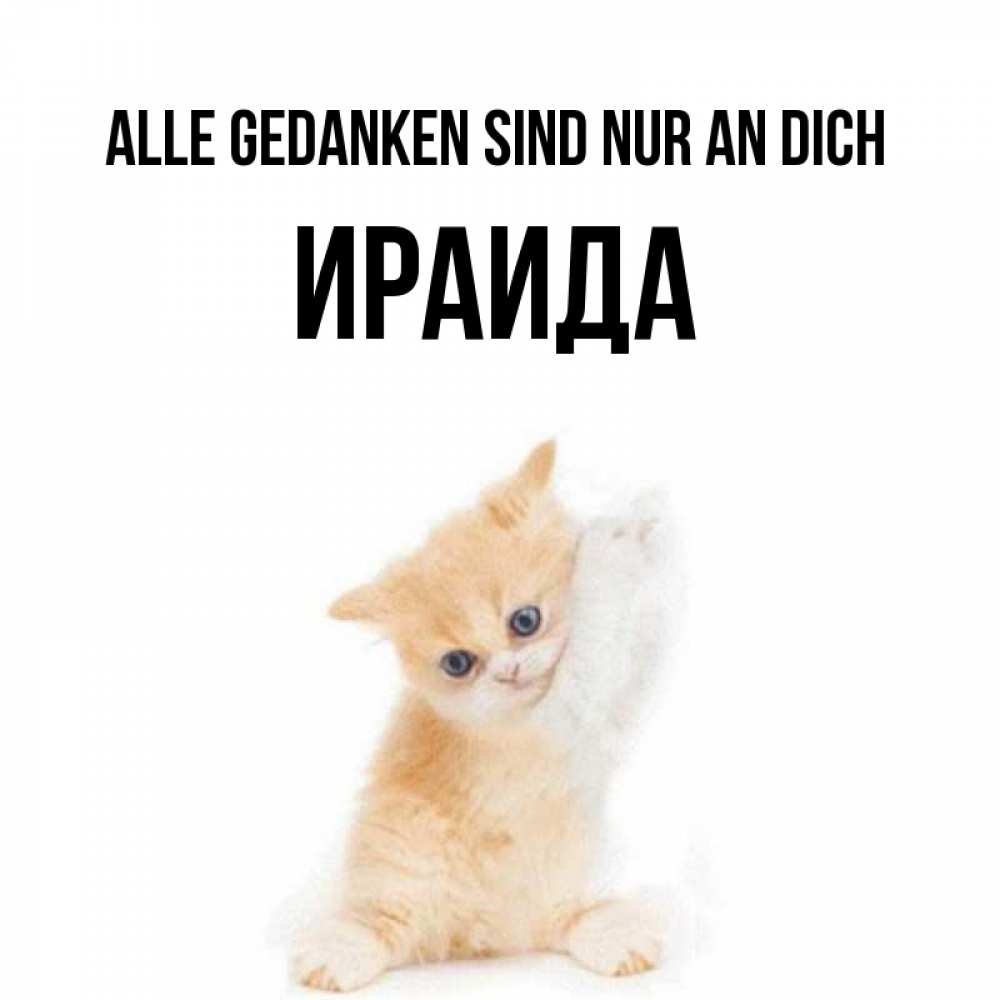 Открытка на каждый день с именем, Ираида Alle Gedanken sind nur an dich зверушки и милота Прикольная открытка с пожеланием онлайн скачать бесплатно 