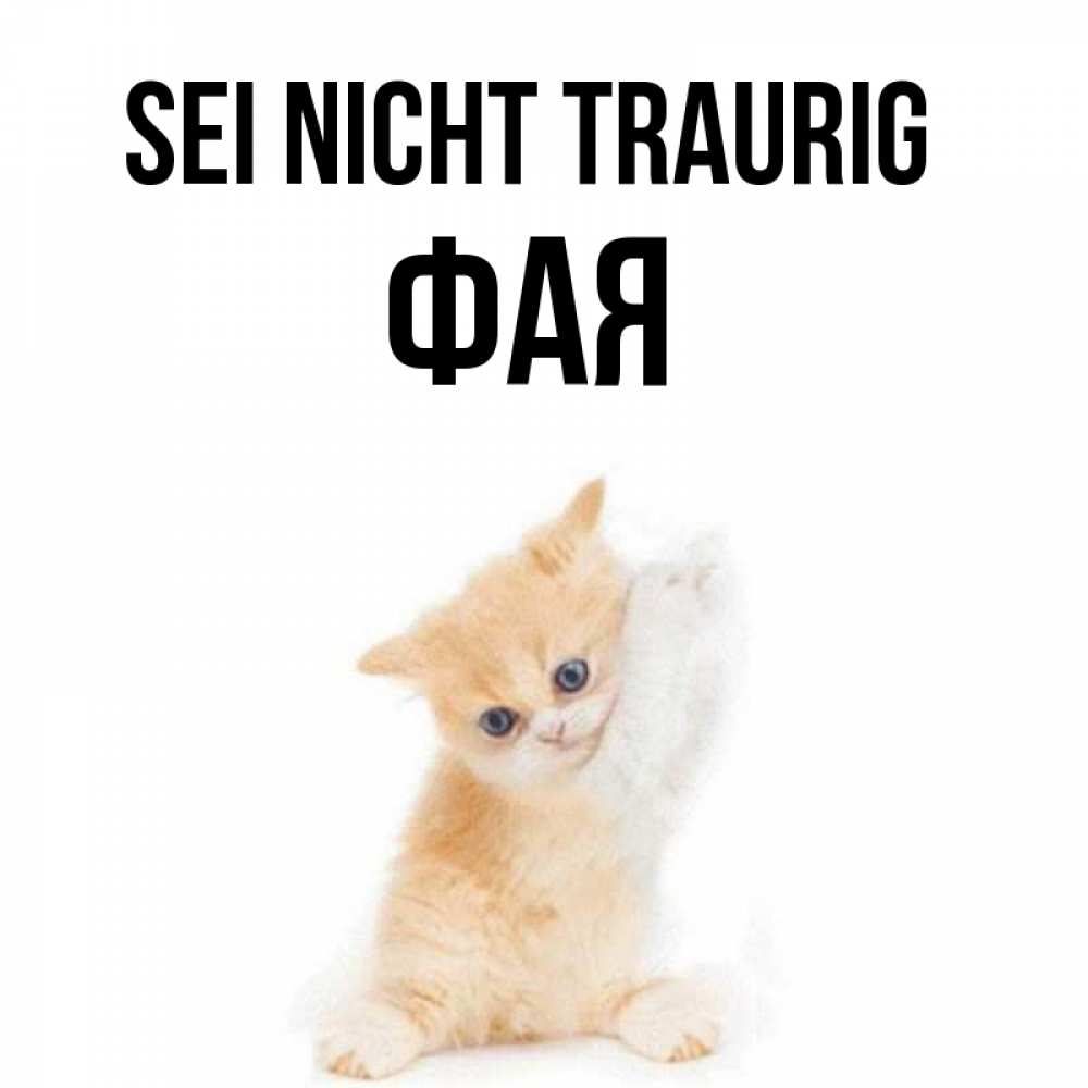 Открытка на каждый день с именем, Фая Sei nicht traurig просящий кот Прикольная открытка с пожеланием онлайн скачать бесплатно 