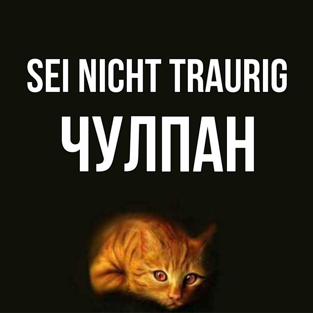 Открытка на каждый день с именем, Чулпан Sei nicht traurig лежащий кот в темноте Прикольная открытка с пожеланием онлайн скачать бесплатно 