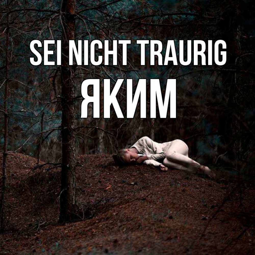Открытка на каждый день с именем, Яким Sei nicht traurig лес Прикольная открытка с пожеланием онлайн скачать бесплатно 