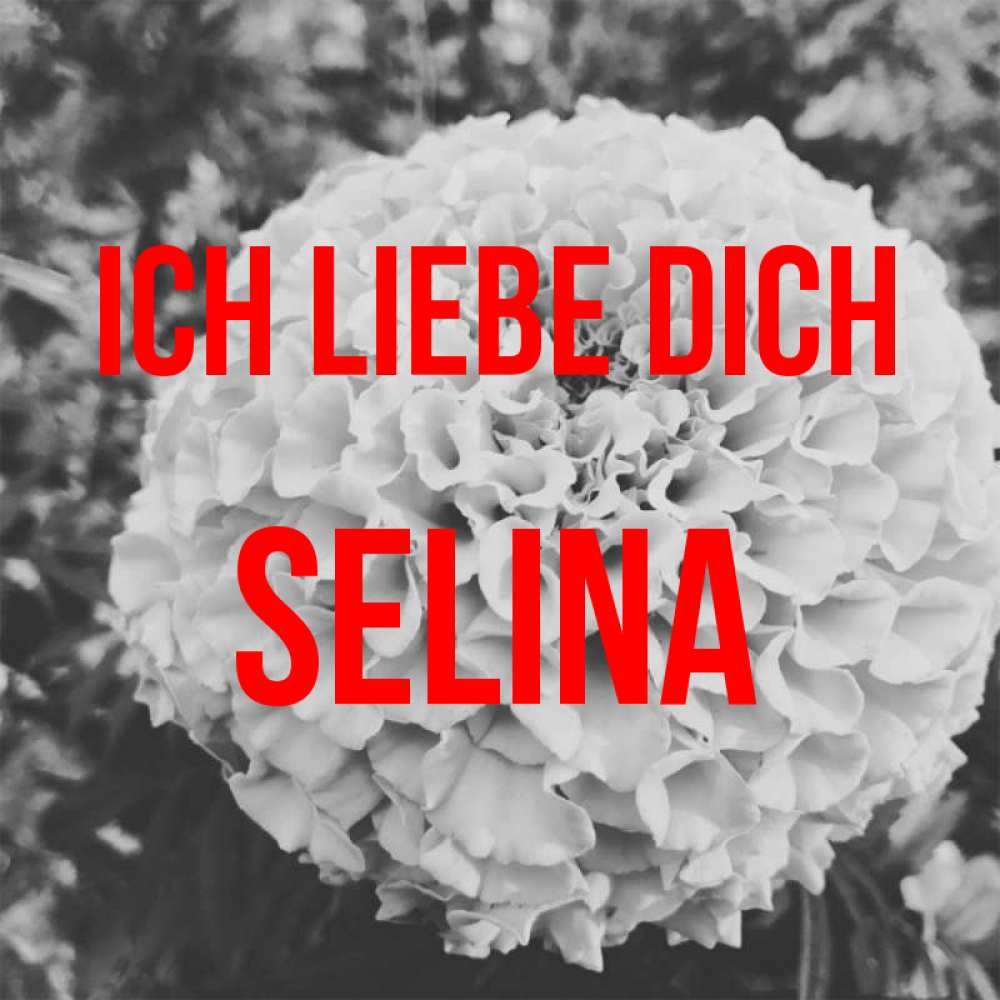 Открытка на каждый день с именем, Selina Ich liebe dich подпись Прикольная открытка с пожеланием онлайн скачать бесплатно 