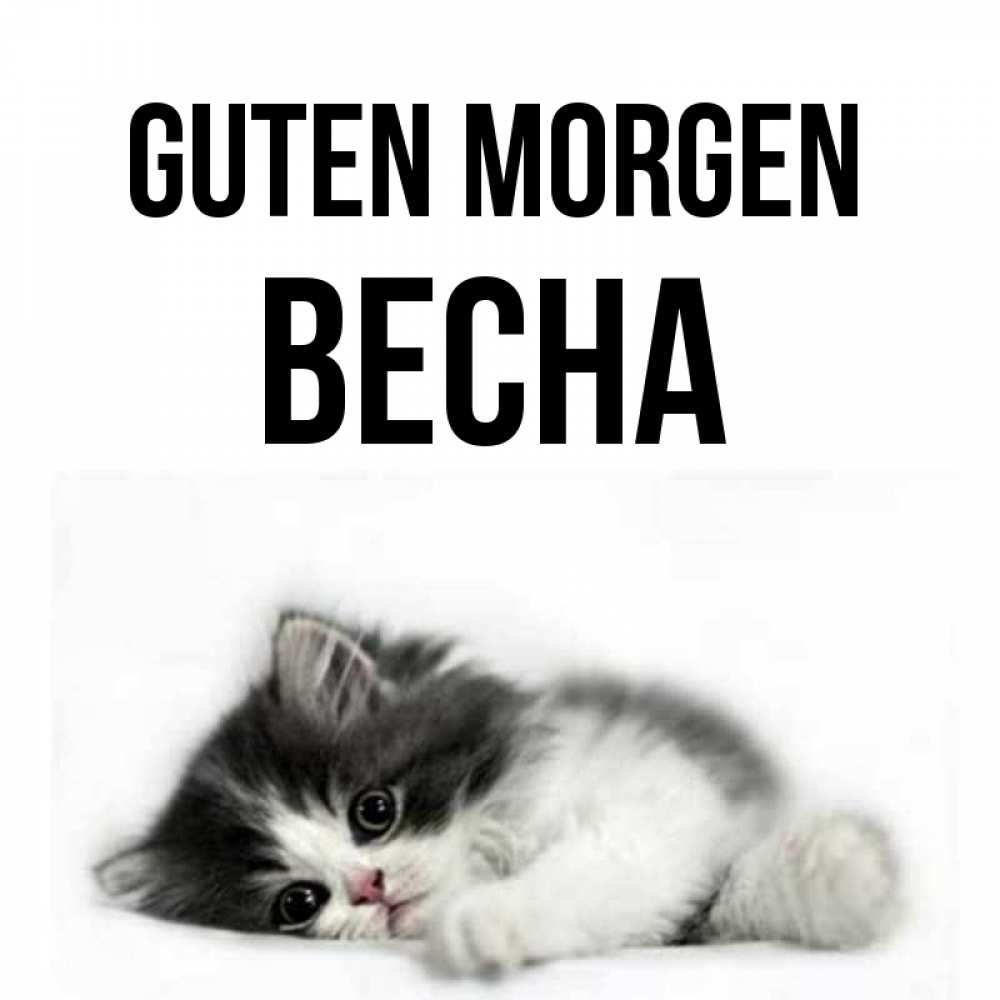 Открытка на каждый день с именем, Весна Guten Morgen кот лапки Прикольная открытка с пожеланием онлайн скачать бесплатно 