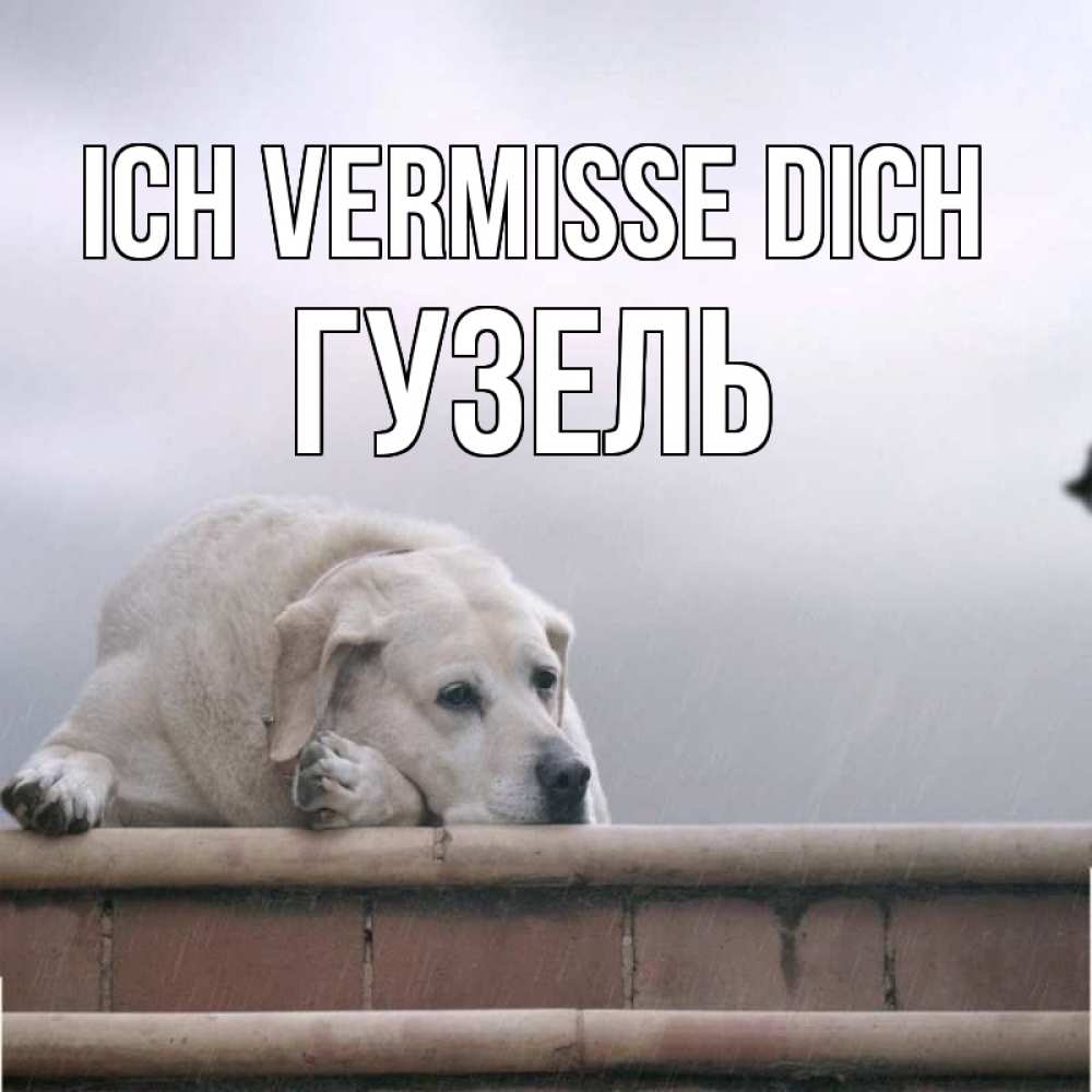 Открытка на каждый день с именем, Гузель Ich vermisse dich ждет Прикольная открытка с пожеланием онлайн скачать бесплатно 