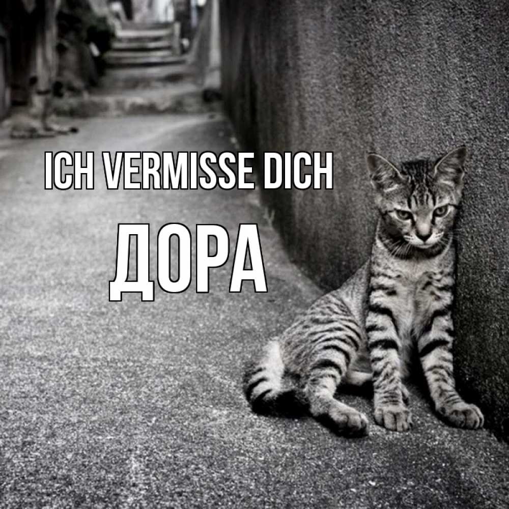 Открытка на каждый день с именем, Дора Ich vermisse dich одиноко котику Прикольная открытка с пожеланием онлайн скачать бесплатно 
