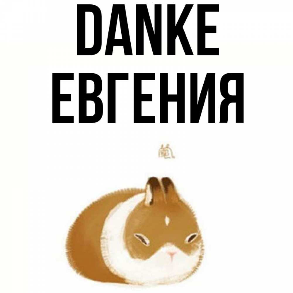 Открытка на каждый день с именем, Евгения Danke коричнево белый домашний питомец Прикольная открытка с пожеланием онлайн скачать бесплатно 