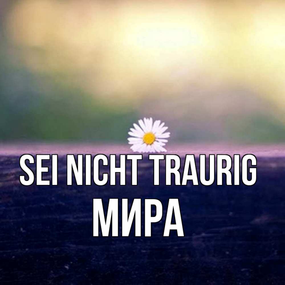 Открытка на каждый день с именем, Мира Sei nicht traurig красота Прикольная открытка с пожеланием онлайн скачать бесплатно 