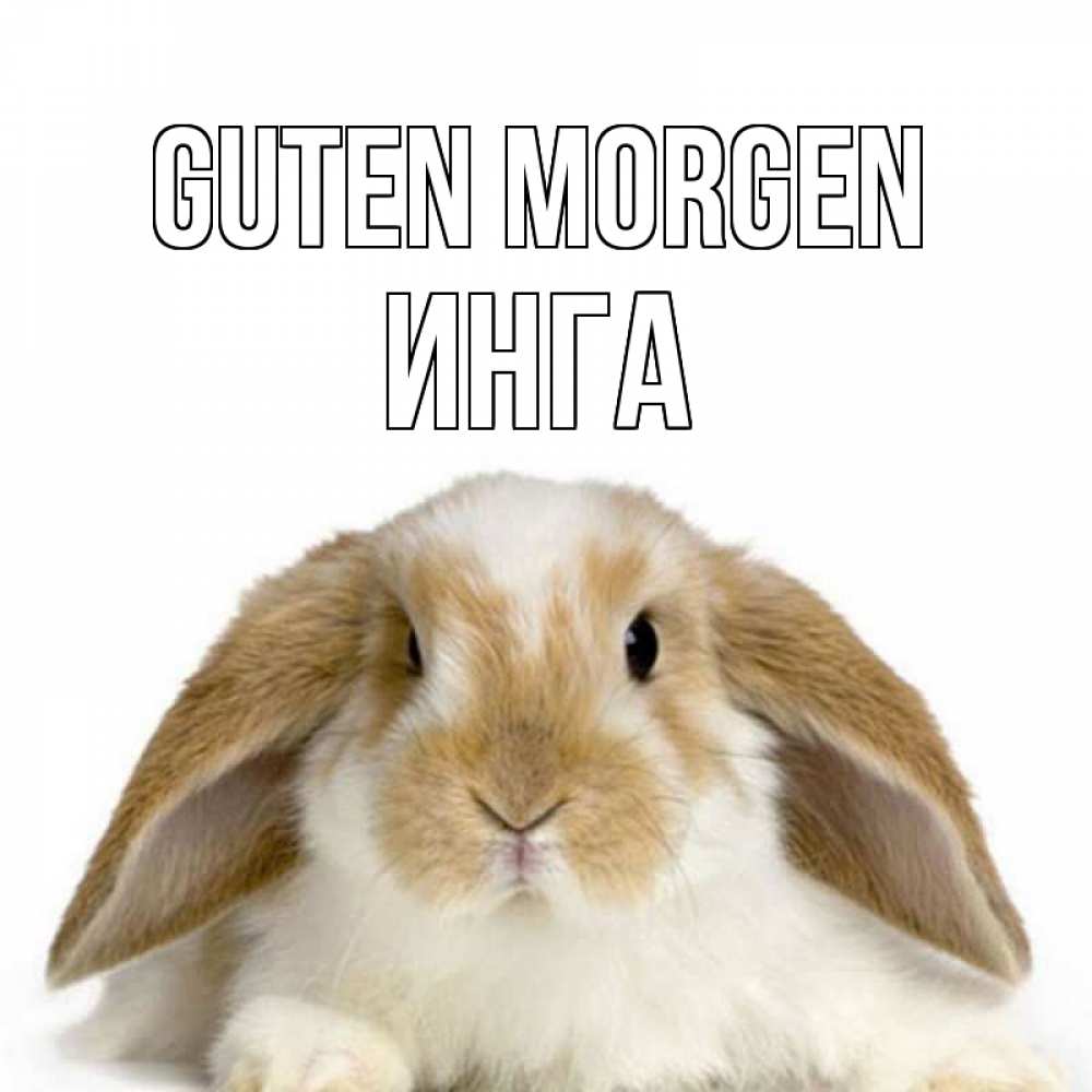Открытка на каждый день с именем, Инга Guten Morgen прикольные открытки на каждый день Прикольная открытка с пожеланием онлайн скачать бесплатно 