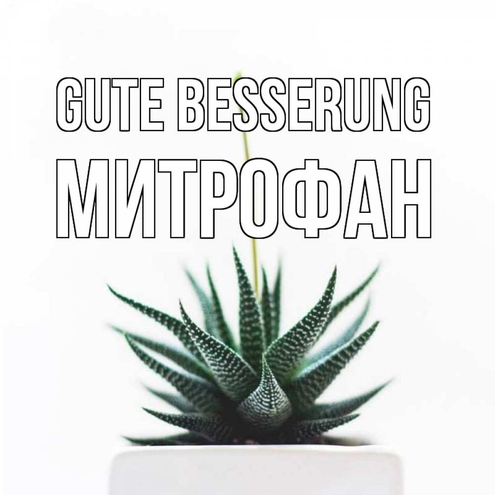 Открытка на каждый день с именем, Митрофан Gute Besserung короче это непонятная колючка Прикольная открытка с пожеланием онлайн скачать бесплатно 