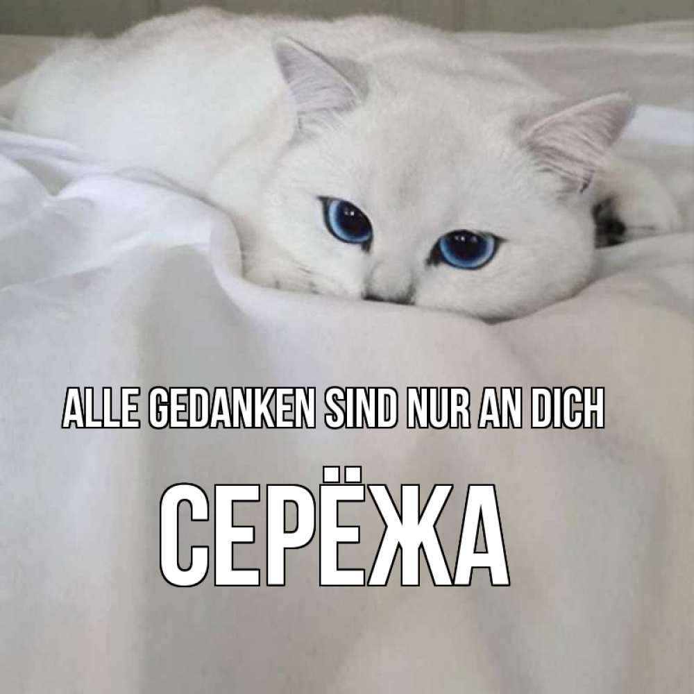 Открытка на каждый день с именем, Серёжа Alle Gedanken sind nur an dich я очень по тебе скучаю и тоскую Прикольная открытка с пожеланием онлайн скачать бесплатно 