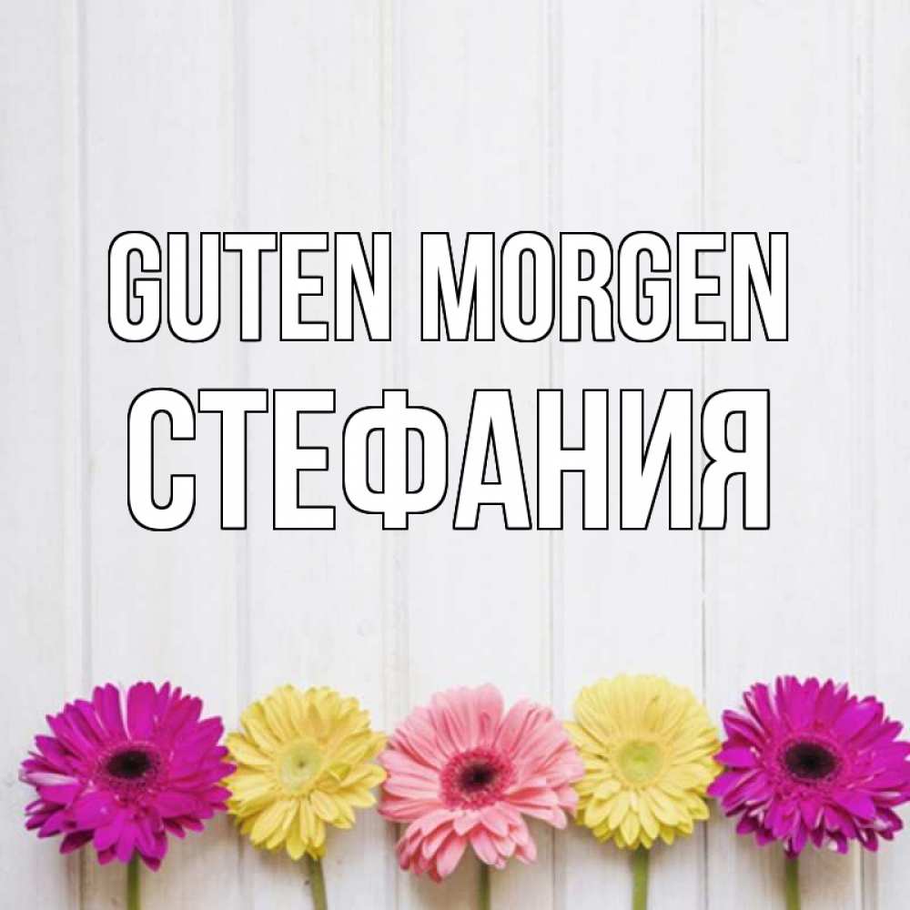 Открытка на каждый день с именем, Стефания Guten Morgen красный желтый и розовый цветок Прикольная открытка с пожеланием онлайн скачать бесплатно 