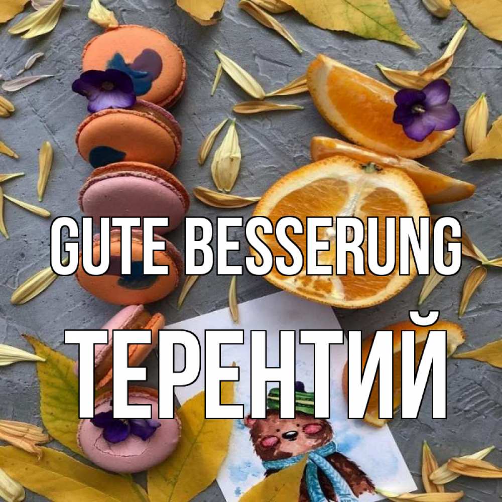 Открытка на каждый день с именем, Терентий Gute Besserung не болейте Прикольная открытка с пожеланием онлайн скачать бесплатно 