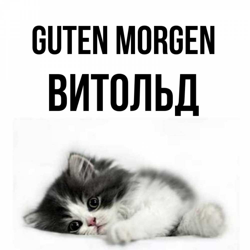 Открытка на каждый день с именем, Витольд Guten Morgen кот лапки Прикольная открытка с пожеланием онлайн скачать бесплатно 