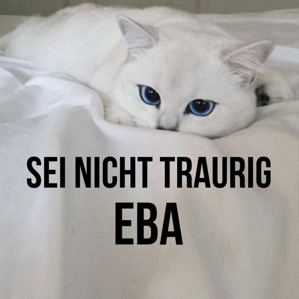 Открытка на каждый день с именем, Ева Sei nicht traurig Голубоглазая кошка Прикольная открытка с пожеланием онлайн скачать бесплатно 