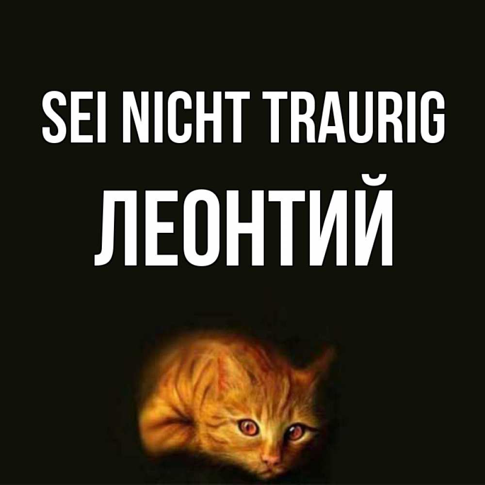 Открытка на каждый день с именем, Леонтий Sei nicht traurig лежащий кот в темноте Прикольная открытка с пожеланием онлайн скачать бесплатно 