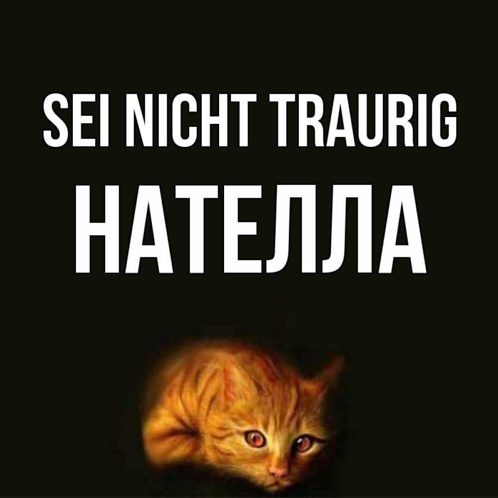 Открытка на каждый день с именем, Нателла Sei nicht traurig лежащий кот в темноте Прикольная открытка с пожеланием онлайн скачать бесплатно 