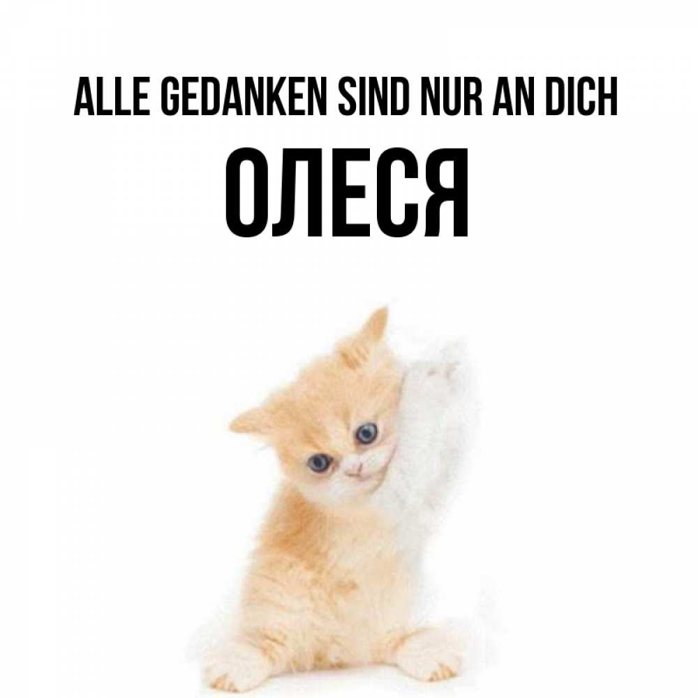 Открытка на каждый день с именем, Олеся Alle Gedanken sind nur an dich зверушки и милота Прикольная открытка с пожеланием онлайн скачать бесплатно 