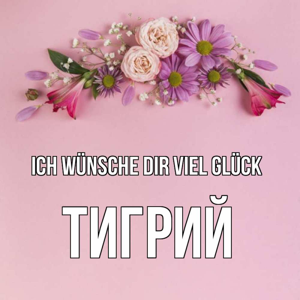Открытка на каждый день с именем, Тигрий Ich wünsche dir viel Glück розовый фон Прикольная открытка с пожеланием онлайн скачать бесплатно 