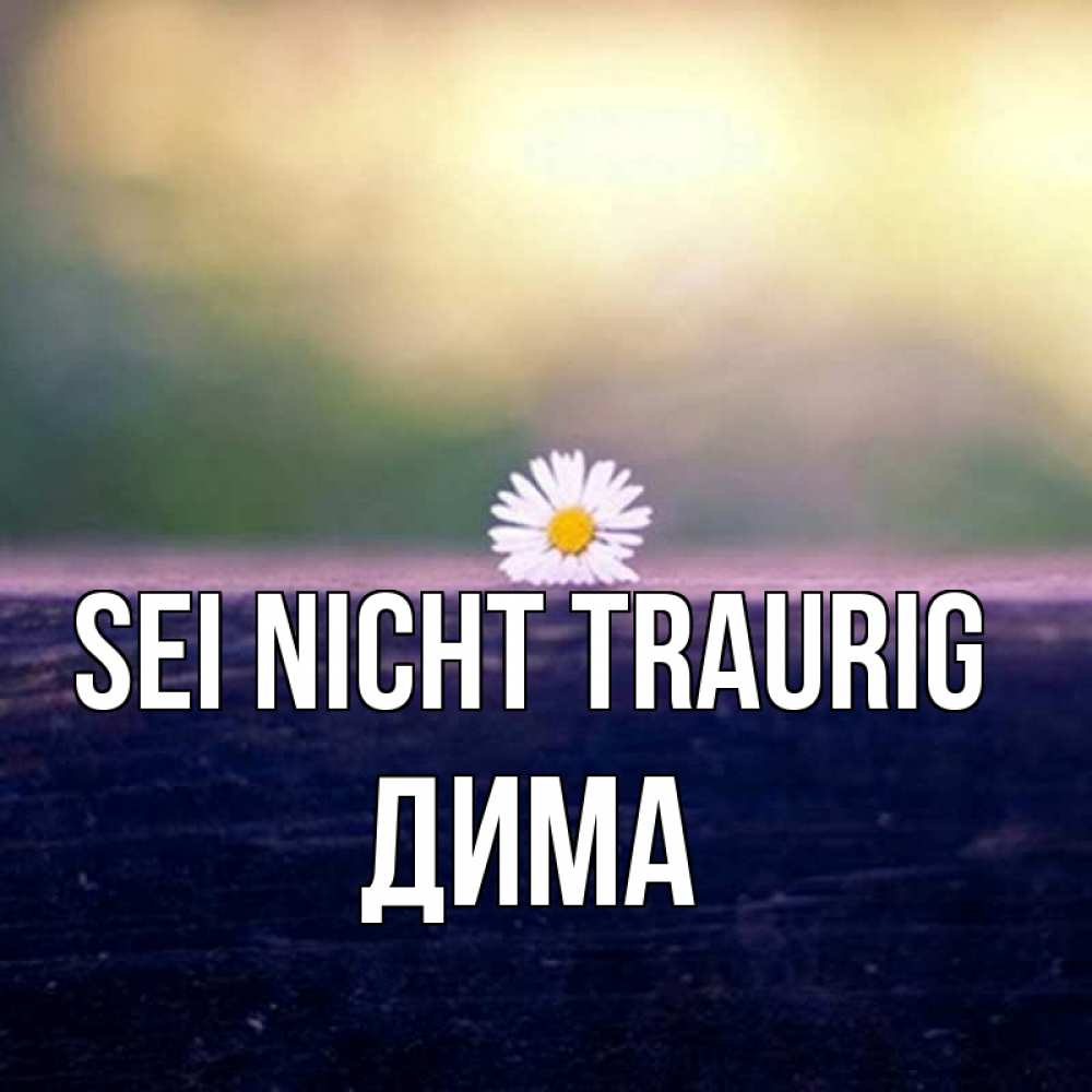 Открытка на каждый день с именем, Дима Sei nicht traurig красота Прикольная открытка с пожеланием онлайн скачать бесплатно 