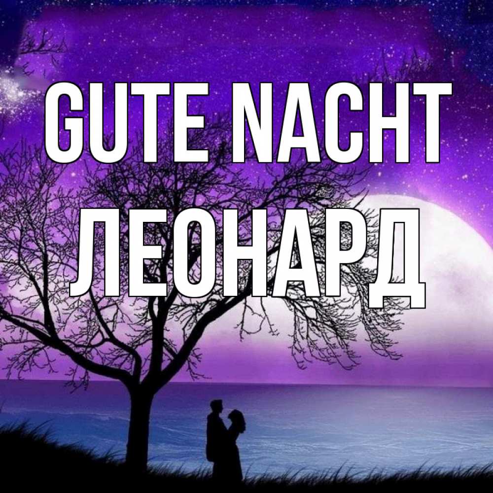 Открытка на каждый день с именем, Леонард Gute Nacht огромная луна и парочка Прикольная открытка с пожеланием онлайн скачать бесплатно 