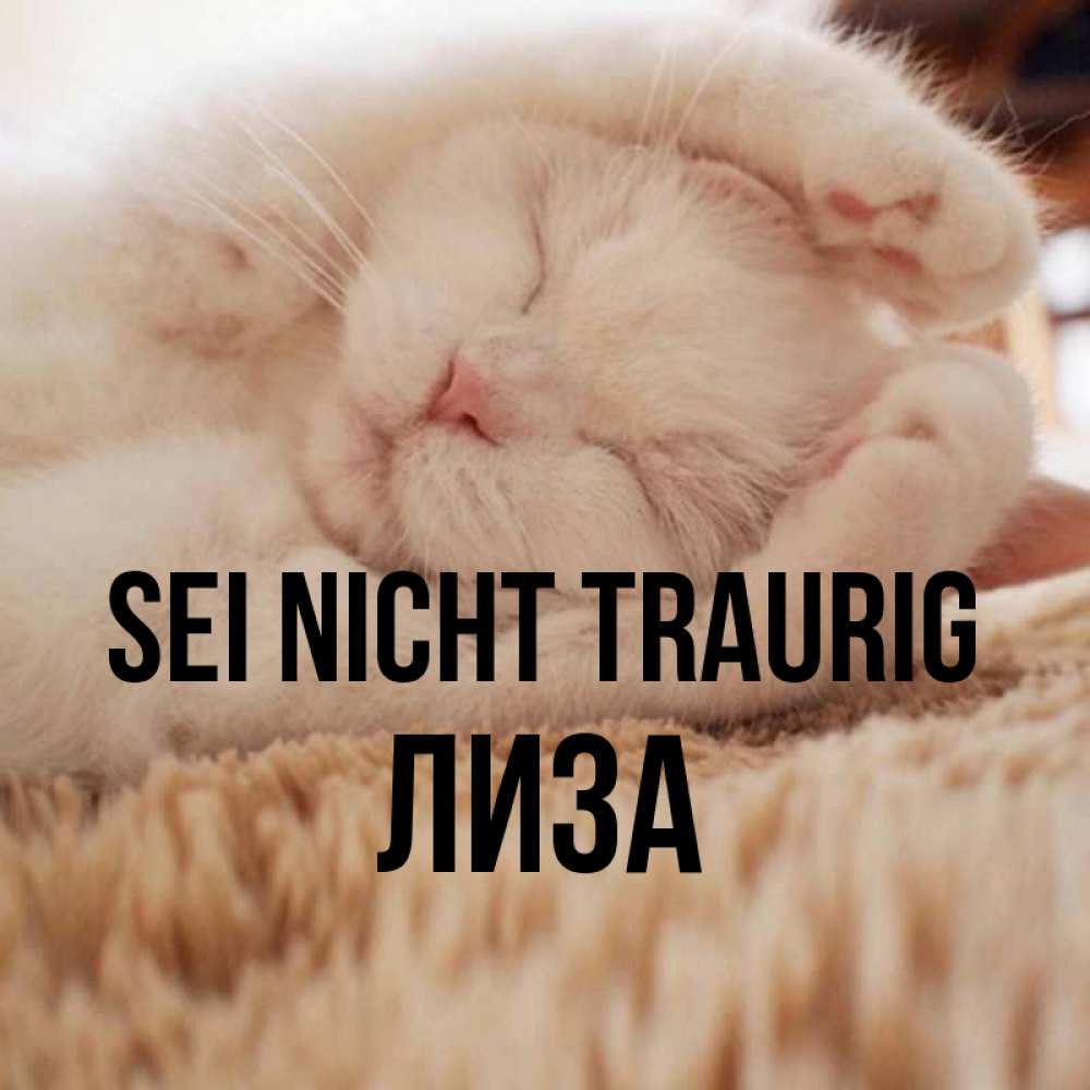 Открытка на каждый день с именем, Лиза Sei nicht traurig Котенок спит Прикольная открытка с пожеланием онлайн скачать бесплатно 