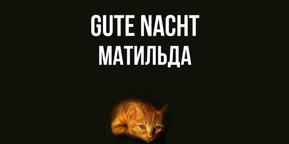 Открытка на каждый день с именем, Матильда Gute Nacht кот Прикольная открытка с пожеланием онлайн скачать бесплатно 