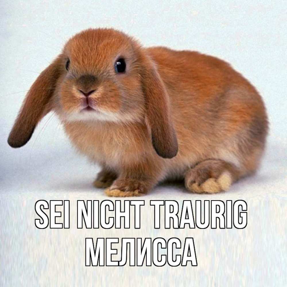 Открытка на каждый день с именем, Мелисса Sei nicht traurig рыжий зая Прикольная открытка с пожеланием онлайн скачать бесплатно 