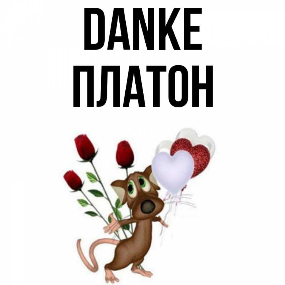 Открытка на каждый день с именем, Платон Danke песик с шариками в форме сердец Прикольная открытка с пожеланием онлайн скачать бесплатно 