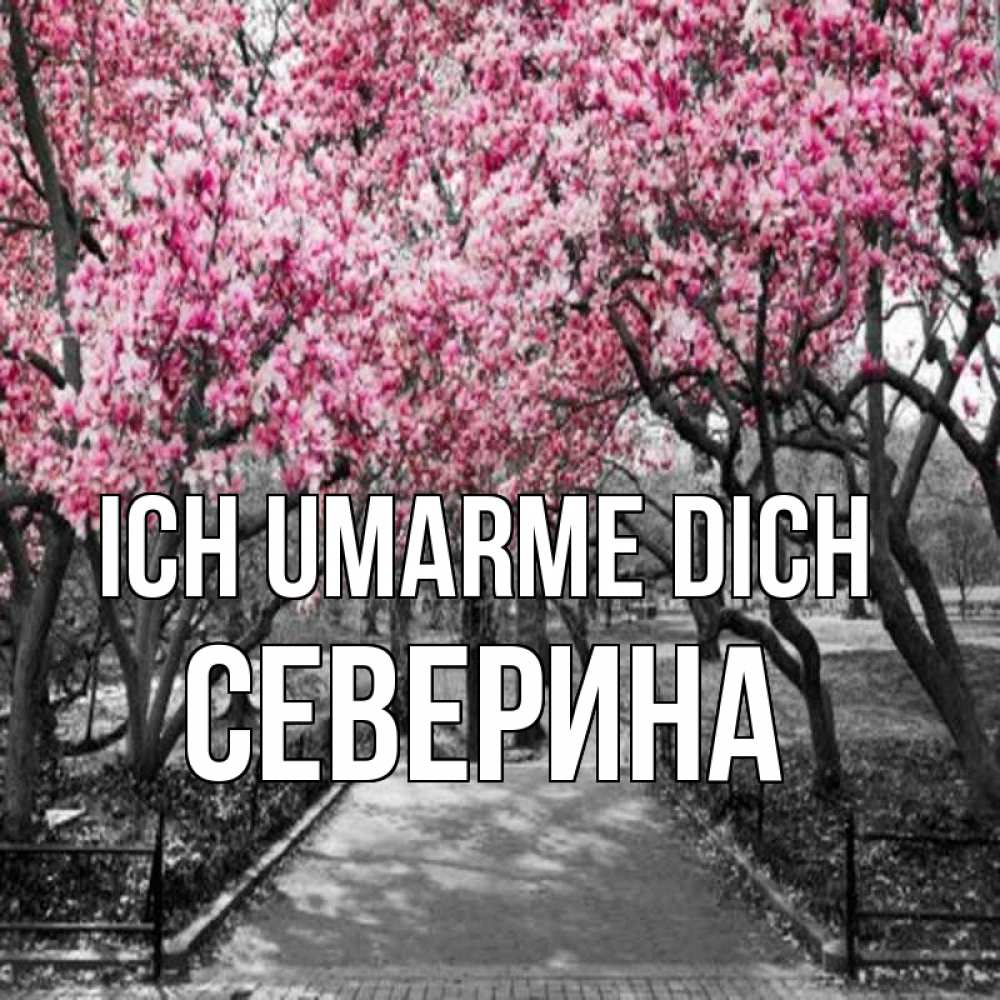 Открытка на каждый день с именем, Северина Ich umarme dich обработанное фото Прикольная открытка с пожеланием онлайн скачать бесплатно 
