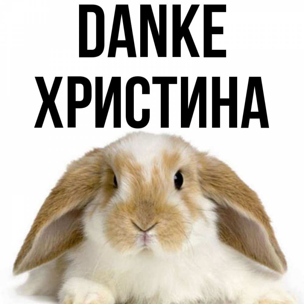 Открытка на каждый день с именем, Христина Danke коричнево белый заяц Прикольная открытка с пожеланием онлайн скачать бесплатно 
