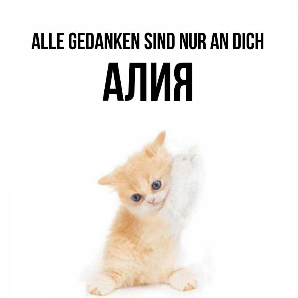 Открытка на каждый день с именем, Алия Alle Gedanken sind nur an dich зверушки и милота Прикольная открытка с пожеланием онлайн скачать бесплатно 
