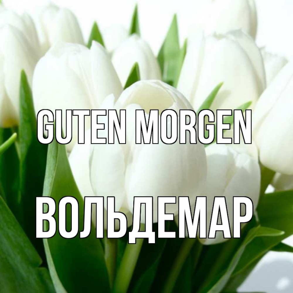 Открытка на каждый день с именем, Вольдемар Guten Morgen открытки на каждый день по именам Прикольная открытка с пожеланием онлайн скачать бесплатно 