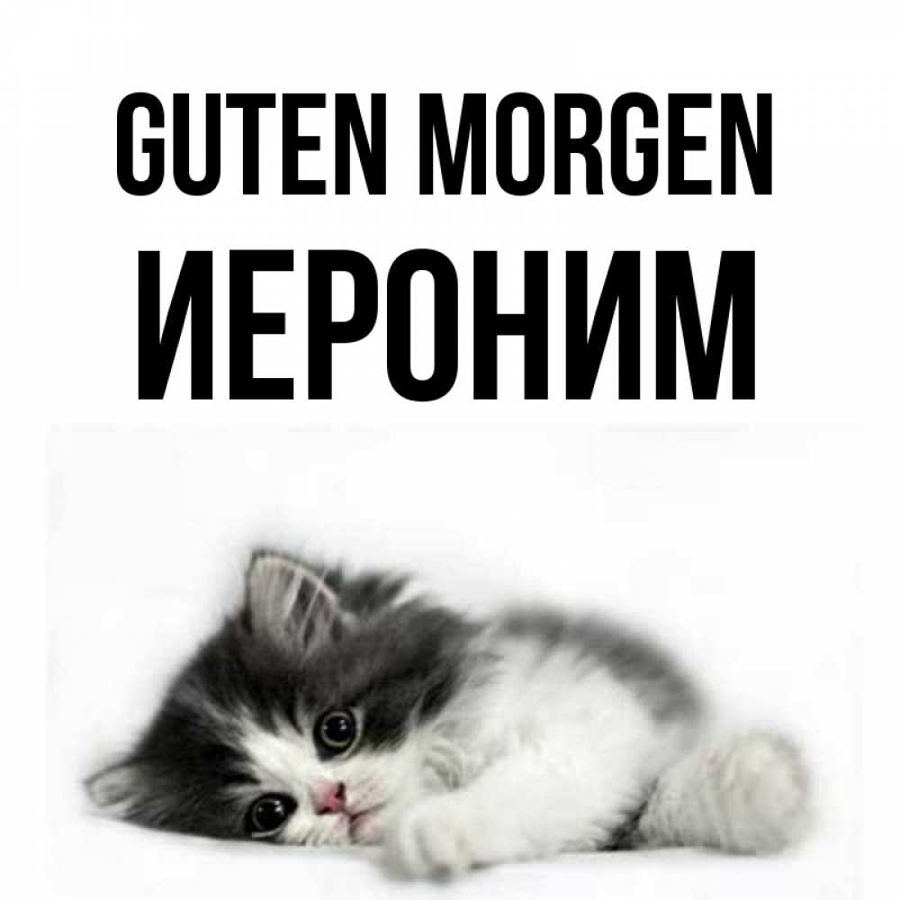 Открытка на каждый день с именем, Иероним Guten Morgen кот лапки Прикольная открытка с пожеланием онлайн скачать бесплатно 