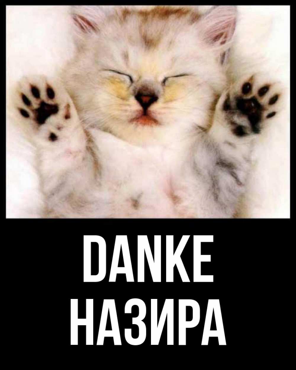 Открытка на каждый день с именем, Назира Danke маленький котенок Прикольная открытка с пожеланием онлайн скачать бесплатно 