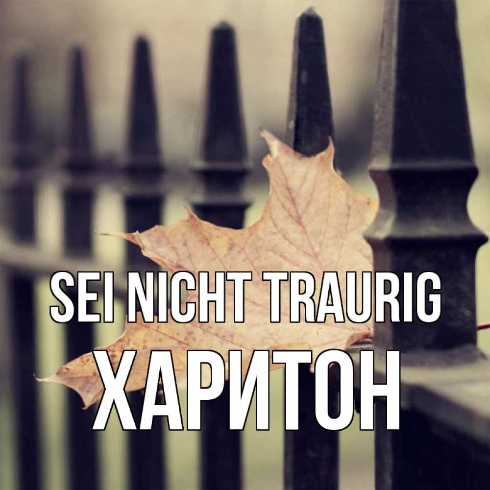 Открытка на каждый день с именем, Харитон Sei nicht traurig лист клена Прикольная открытка с пожеланием онлайн скачать бесплатно 
