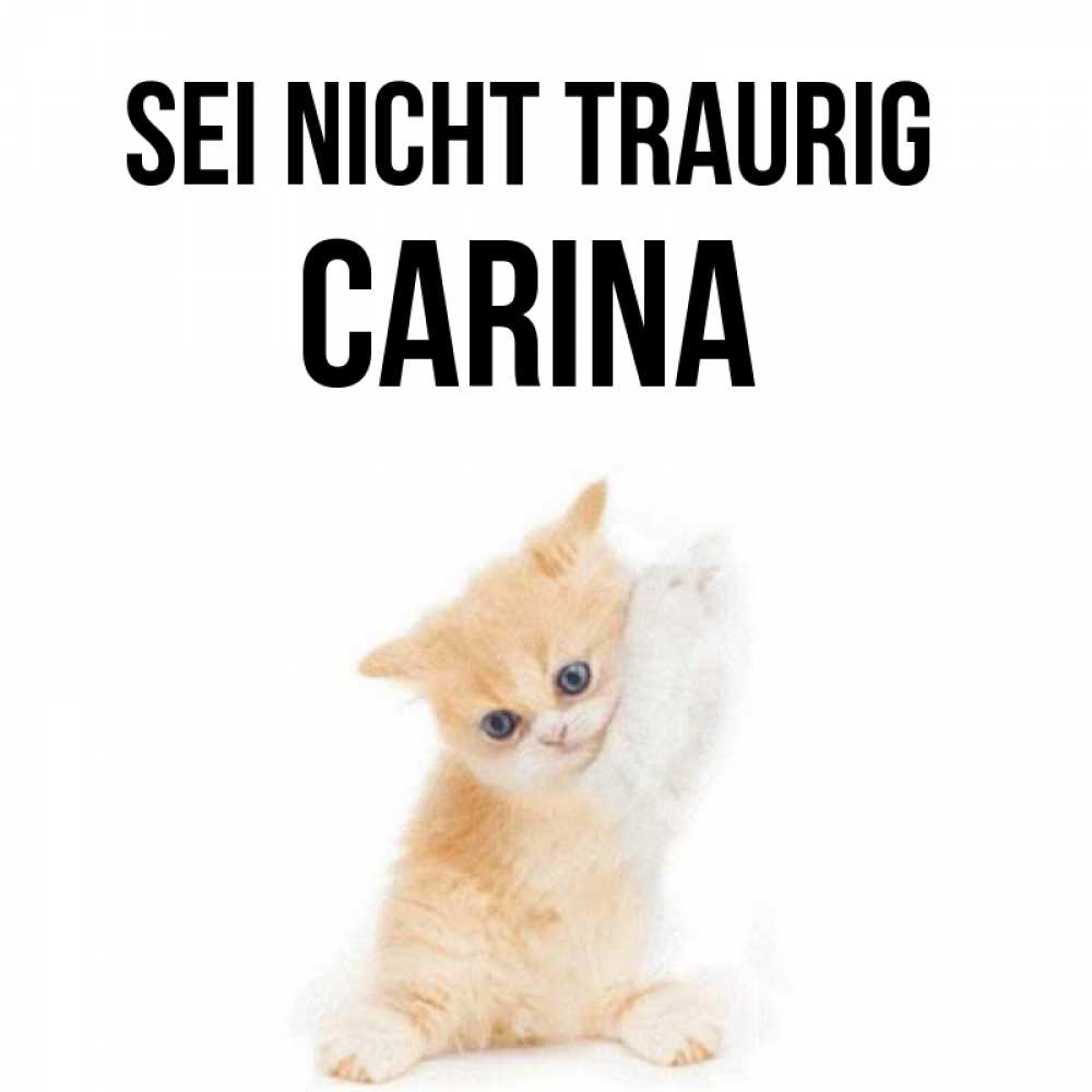 Открытка на каждый день с именем, Carina Sei nicht traurig просящий кот Прикольная открытка с пожеланием онлайн скачать бесплатно 