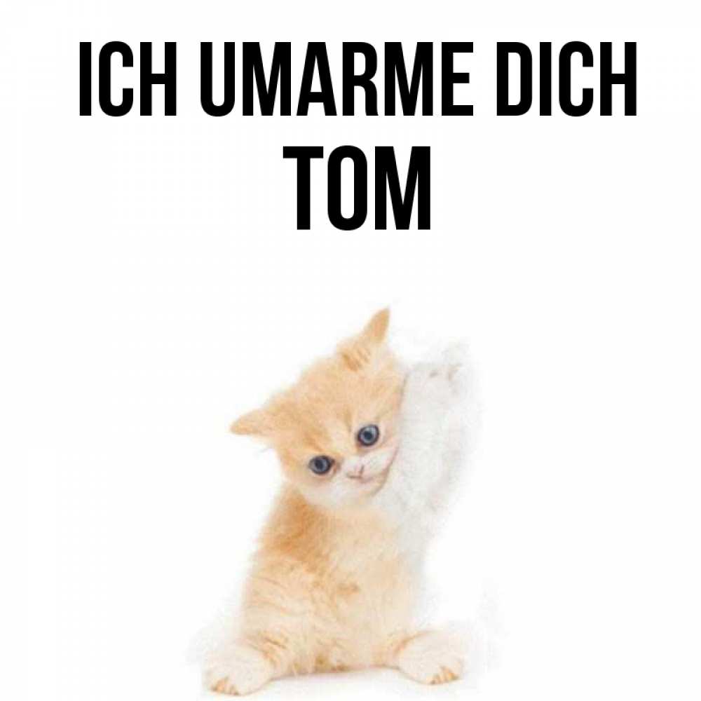 Открытка на каждый день с именем, Tom Ich umarme dich я хочу очень скорее обнимаешек Прикольная открытка с пожеланием онлайн скачать бесплатно 
