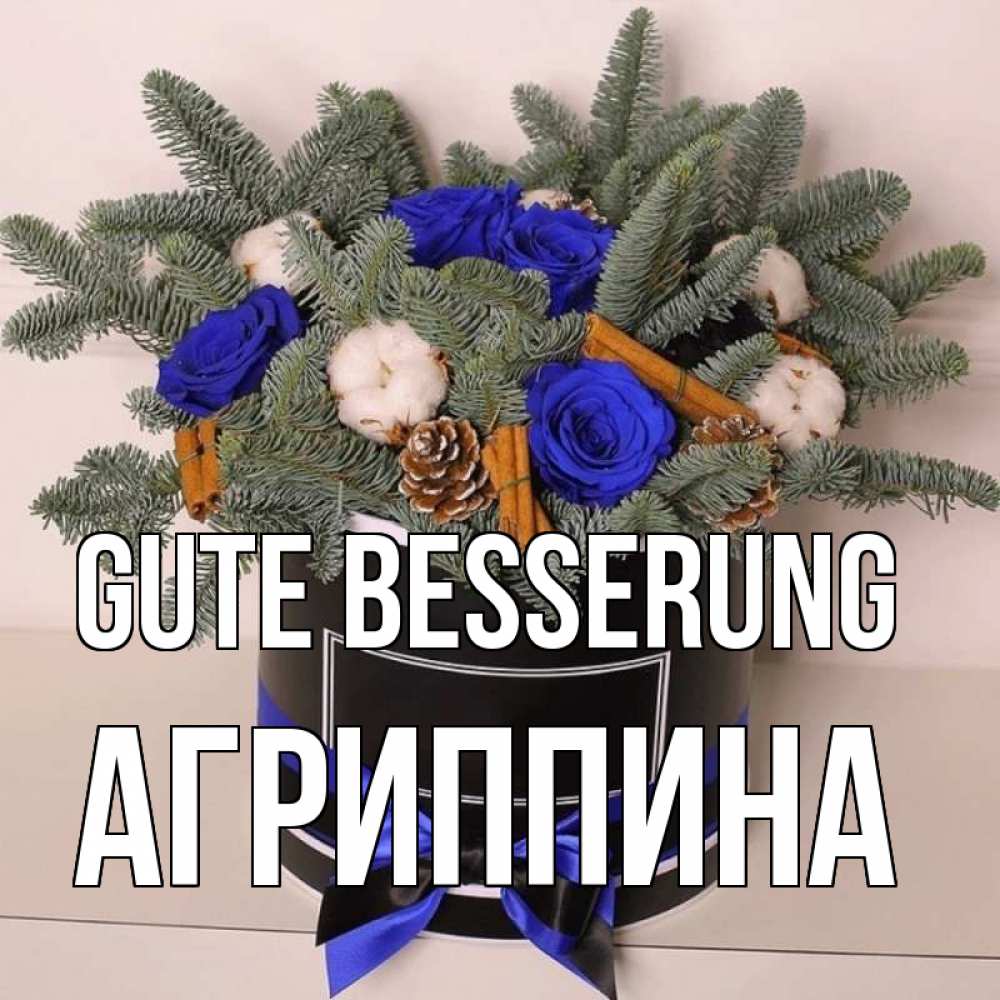 Открытка на каждый день с именем, Агриппина Gute Besserung короче кто то загрузил эти шишки Прикольная открытка с пожеланием онлайн скачать бесплатно 