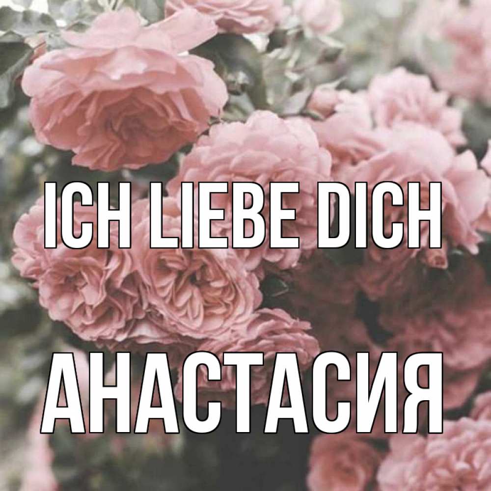 Открытка на каждый день с именем, Анастасия Ich liebe dich розы 3 Прикольная открытка с пожеланием онлайн скачать бесплатно 