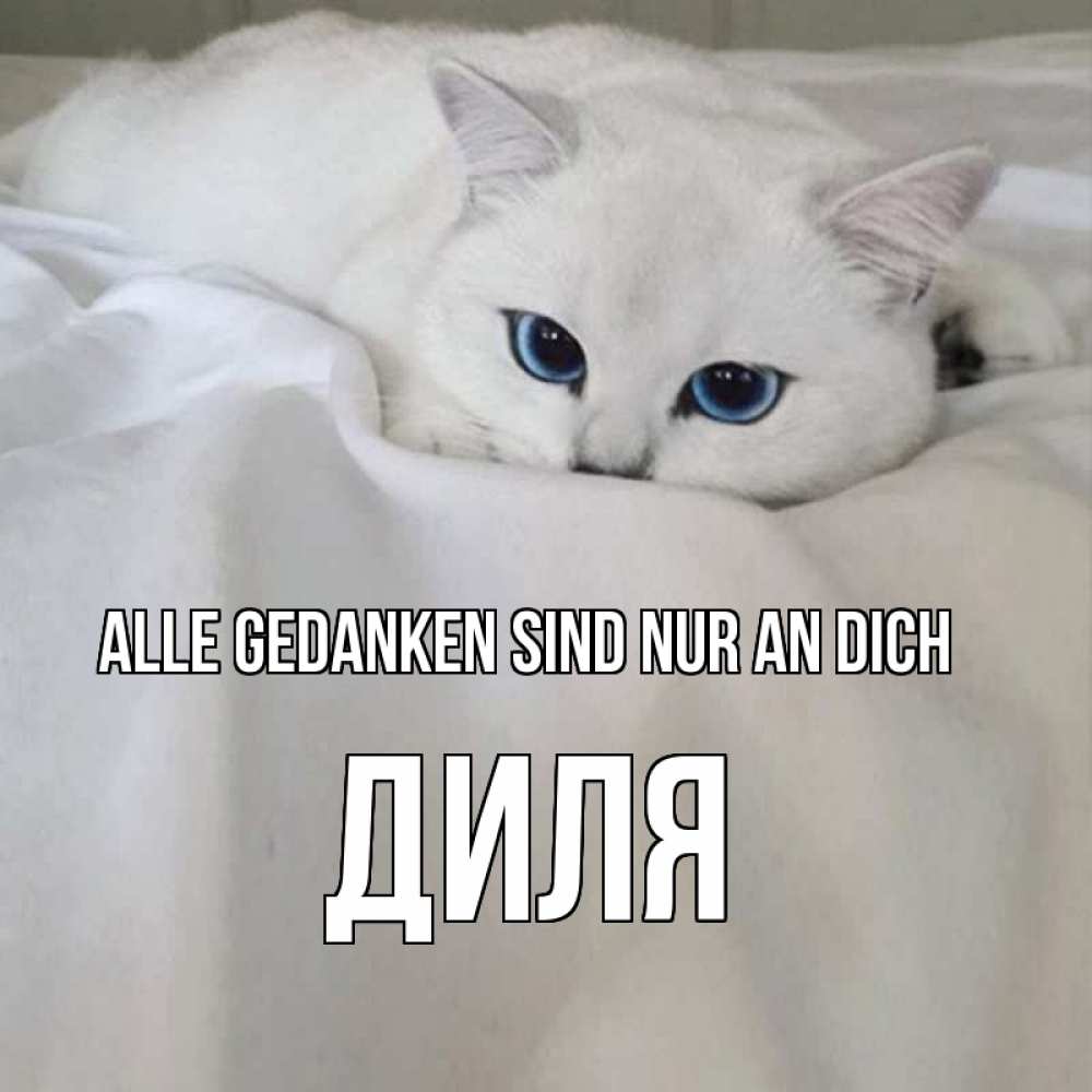 Открытка на каждый день с именем, Диля Alle Gedanken sind nur an dich я очень по тебе скучаю и тоскую Прикольная открытка с пожеланием онлайн скачать бесплатно 