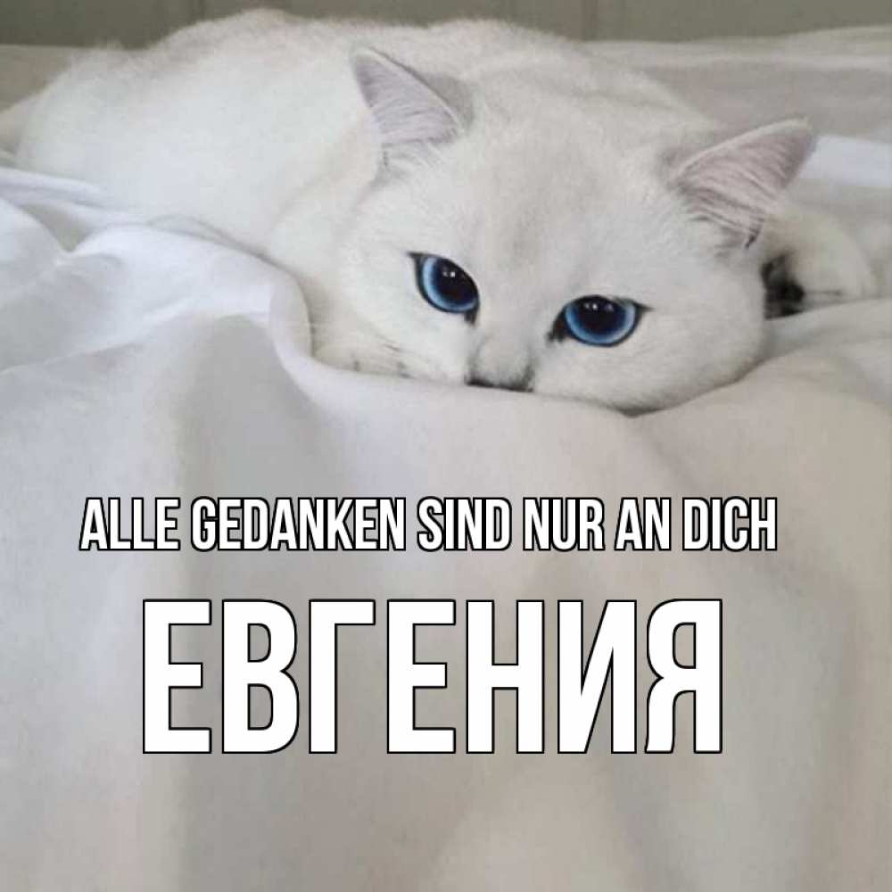 Открытка на каждый день с именем, Евгения Alle Gedanken sind nur an dich я очень по тебе скучаю и тоскую Прикольная открытка с пожеланием онлайн скачать бесплатно 