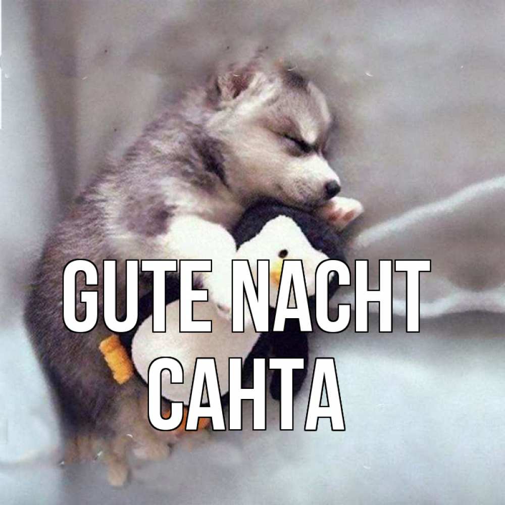 Открытка на каждый день с именем, Санта Gute Nacht обнимашки щенка и пингвина Прикольная открытка с пожеланием онлайн скачать бесплатно 