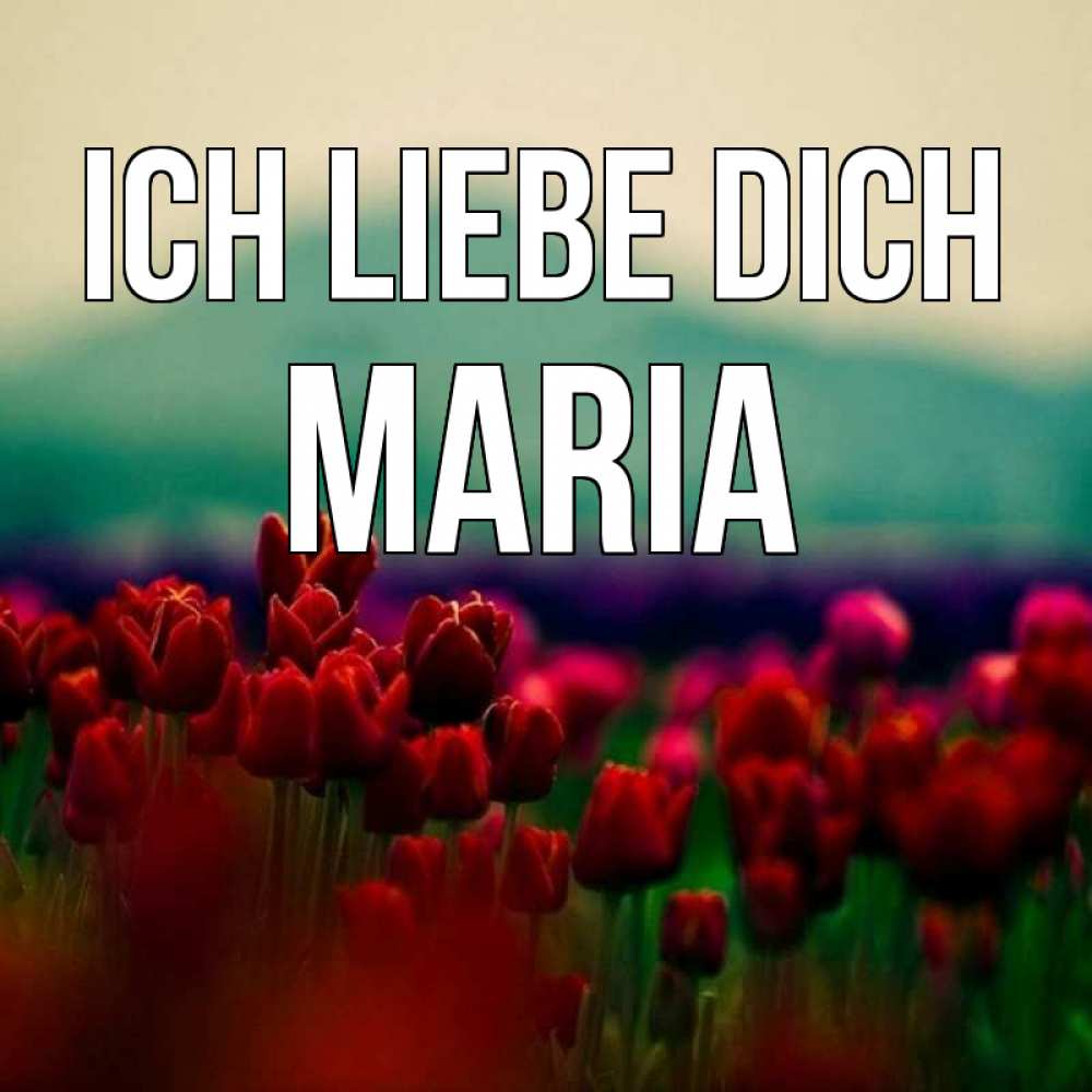 Открытка на каждый день с именем, Maria Ich liebe dich тюльпаны 4 Прикольная открытка с пожеланием онлайн скачать бесплатно 