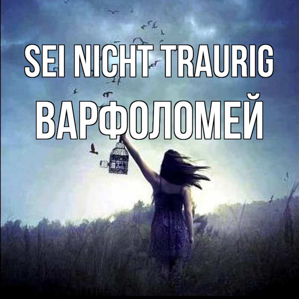 Открытка на каждый день с именем, Варфоломей Sei nicht traurig на волю Прикольная открытка с пожеланием онлайн скачать бесплатно 