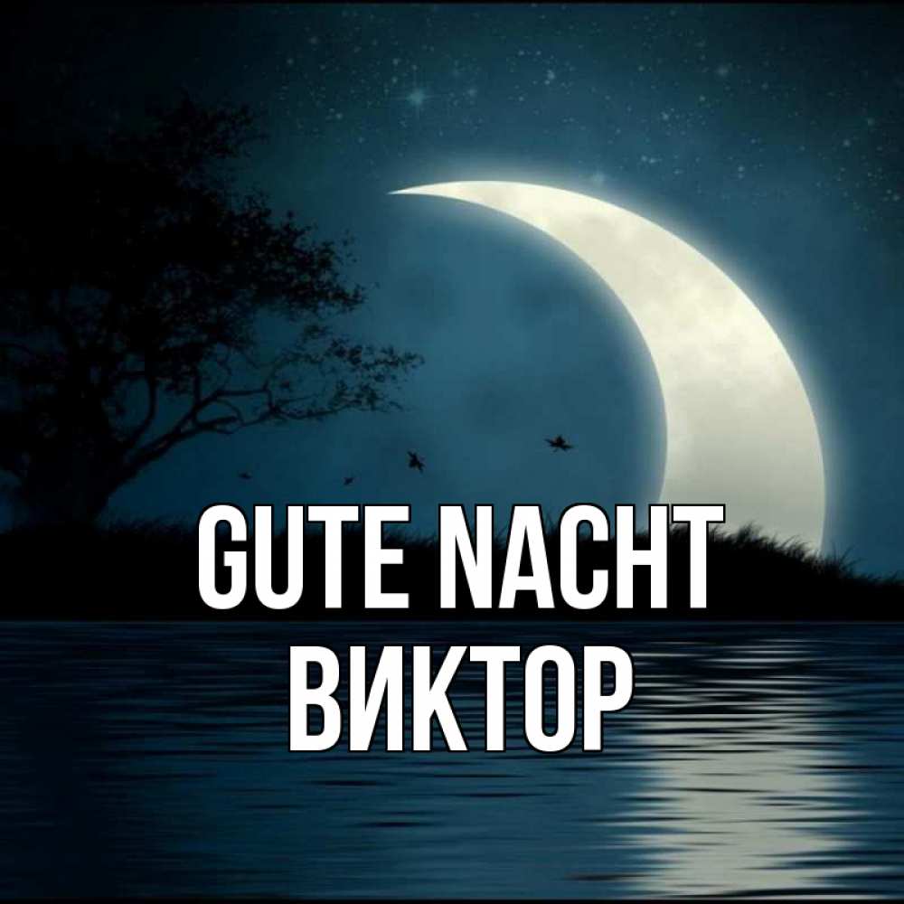 Открытка на каждый день с именем, Виктор Gute Nacht вода Прикольная открытка с пожеланием онлайн скачать бесплатно 