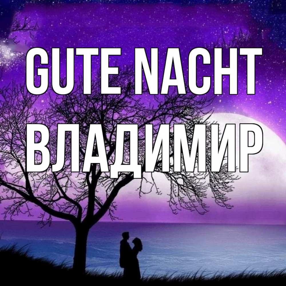 Открытка на каждый день с именем, Владимир Gute Nacht огромная луна и парочка Прикольная открытка с пожеланием онлайн скачать бесплатно 