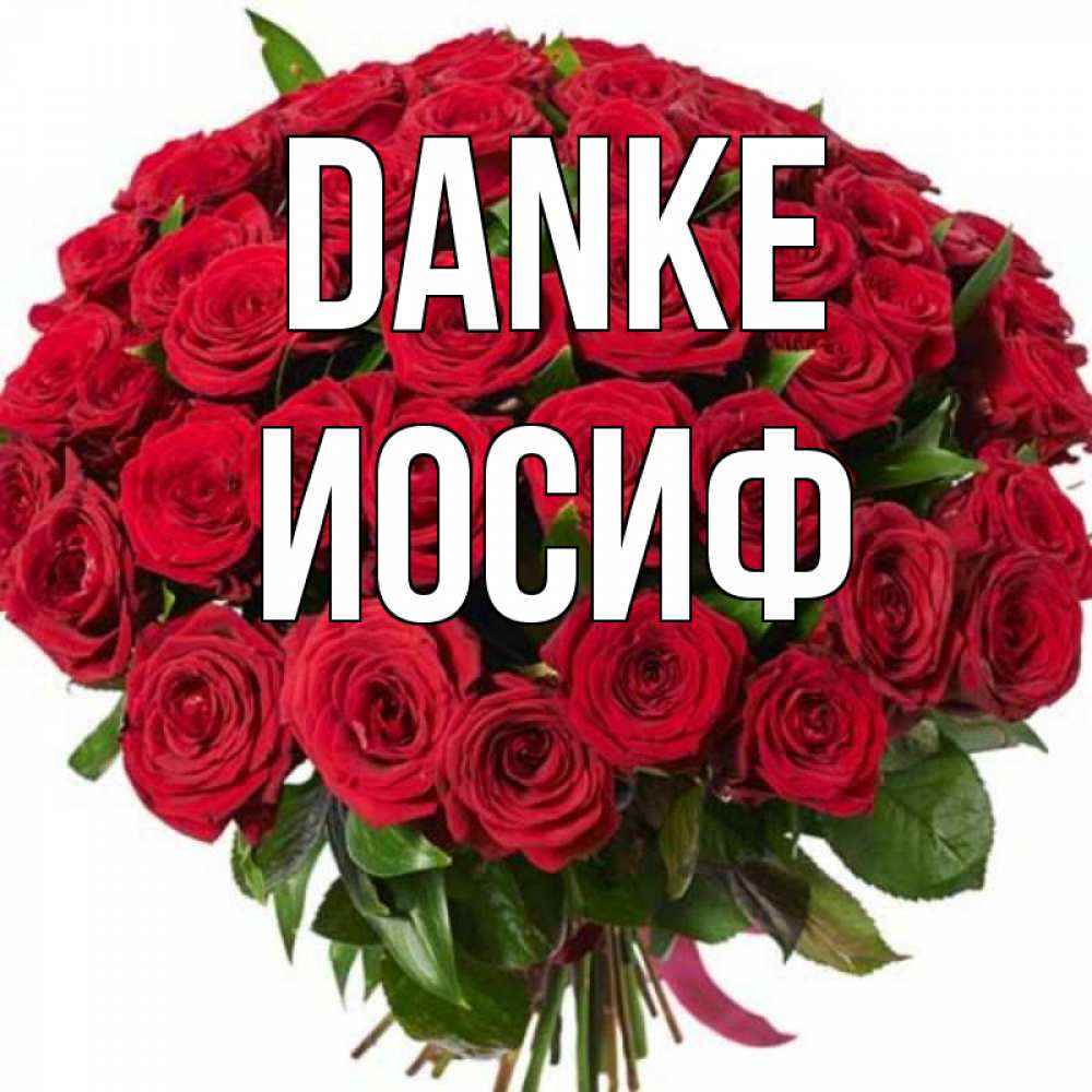 Открытка на каждый день с именем, Иосиф Danke букет красных роз Прикольная открытка с пожеланием онлайн скачать бесплатно 