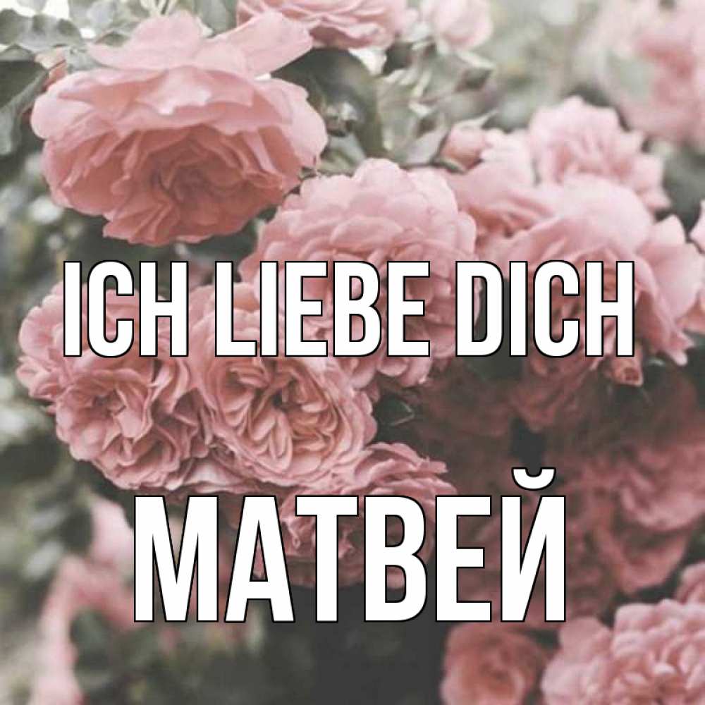 Открытка на каждый день с именем, Матвей Ich liebe dich розы 3 Прикольная открытка с пожеланием онлайн скачать бесплатно 
